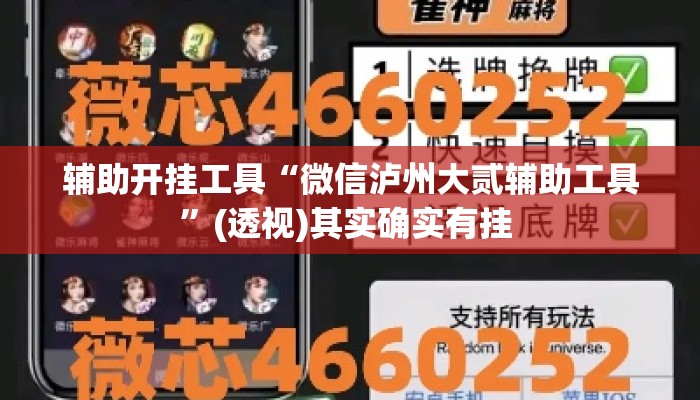 辅助开挂工具“微信泸州大贰辅助工具	”(透视)其实确实有挂 