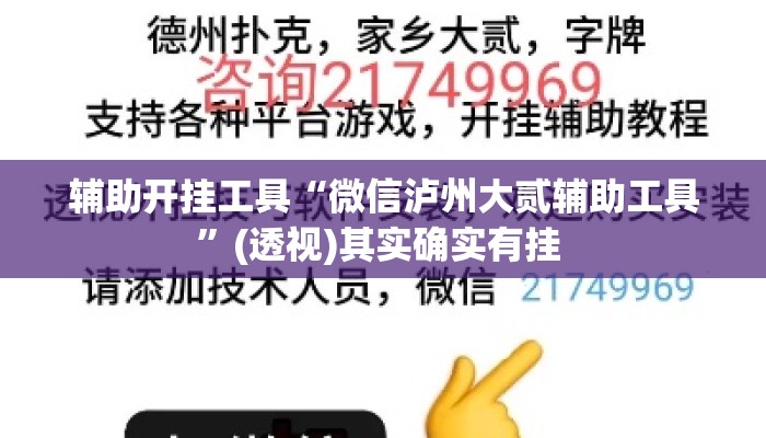 辅助开挂工具“微信泸州大贰辅助工具”(透视)其实确实有挂 