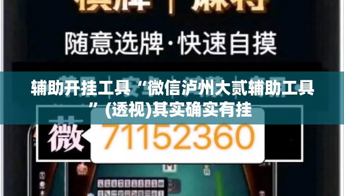 辅助开挂工具“微信泸州大贰辅助工具	”(透视)其实确实有挂 