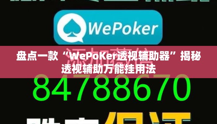 盘点一款“WePoKer透视辅助器”揭秘透视辅助万能挂用法