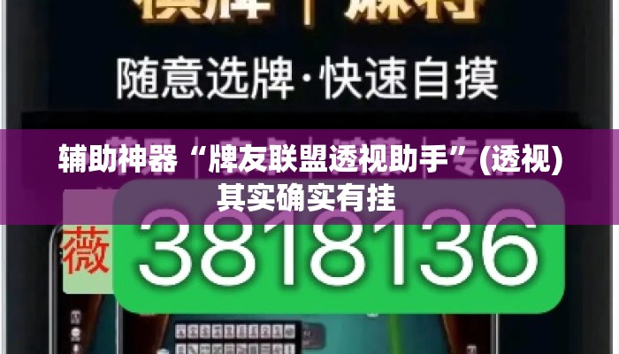辅助神器“牌友联盟透视助手”(透视)其实确实有挂 