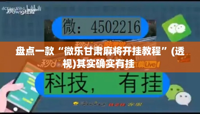 盘点一款“微乐甘肃麻将开挂教程	”(透视)其实确实有挂 