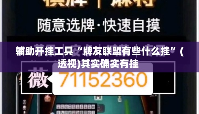 辅助开挂工具“牌友联盟有些什么挂	”(透视)其实确实有挂 