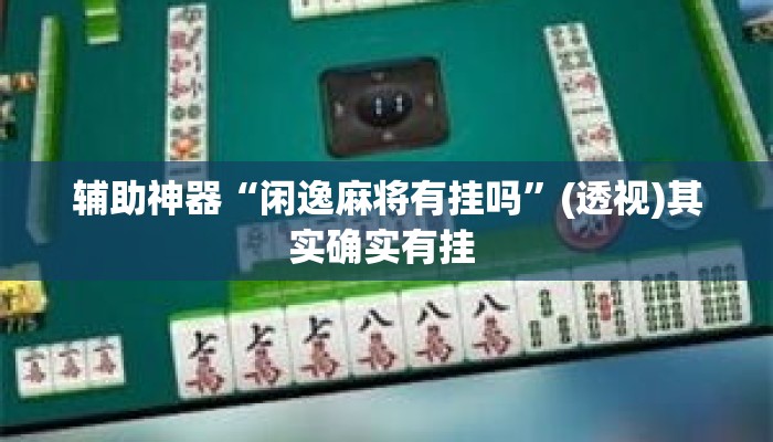 辅助神器“闲逸麻将有挂吗”(透视)其实确实有挂 