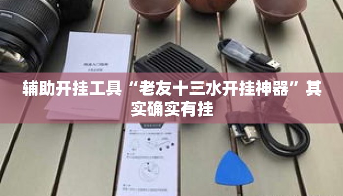辅助开挂工具“老友十三水开挂神器”其实确实有挂
