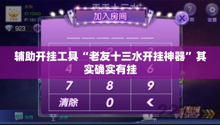 辅助开挂工具“老友十三水开挂神器”其实确实有挂
