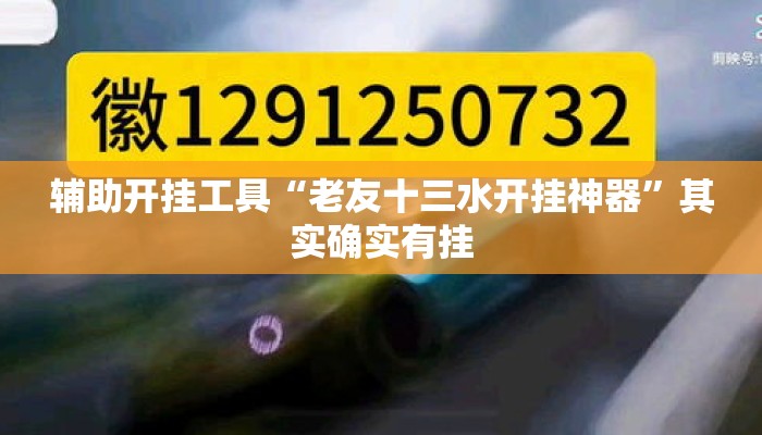 辅助开挂工具“老友十三水开挂神器”其实确实有挂