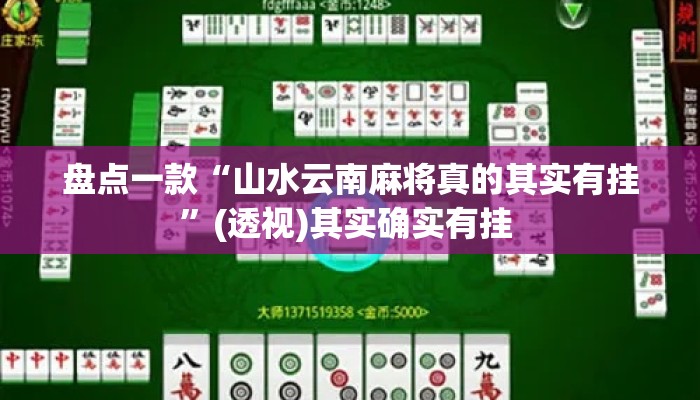 盘点一款“山水云南麻将真的其实有挂”(透视)其实确实有挂 