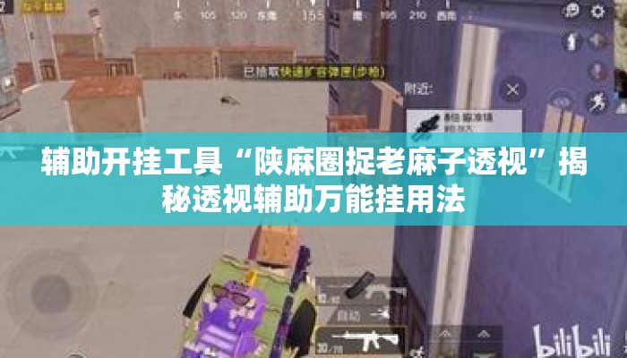 辅助开挂工具“陕麻圈捉老麻子透视”揭秘透视辅助万能挂用法