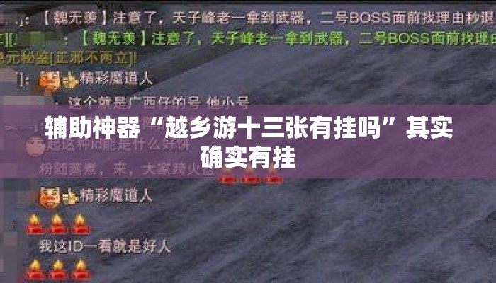 辅助神器“越乡游十三张有挂吗”其实确实有挂