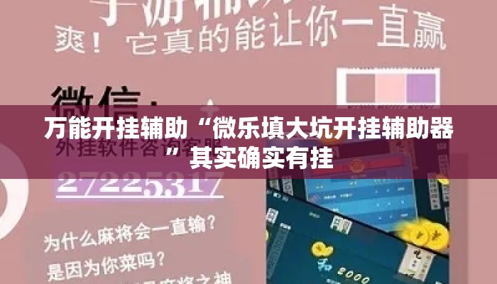 万能开挂辅助“微乐填大坑开挂辅助器”其实确实有挂
