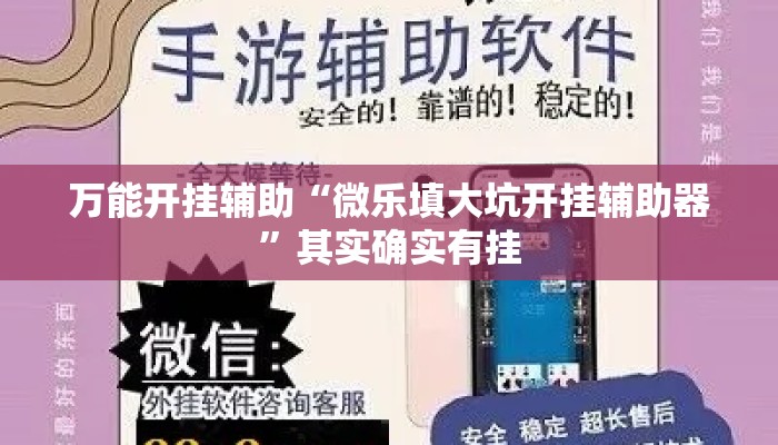 万能开挂辅助“微乐填大坑开挂辅助器”其实确实有挂