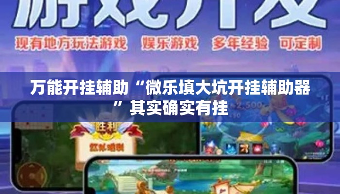 万能开挂辅助“微乐填大坑开挂辅助器”其实确实有挂