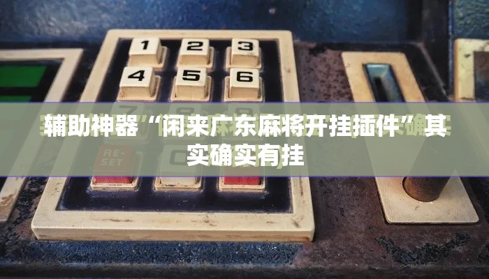 辅助神器“闲来广东麻将开挂插件”其实确实有挂