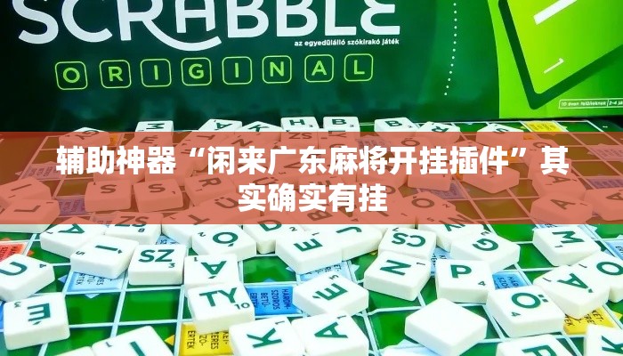 辅助神器“闲来广东麻将开挂插件”其实确实有挂