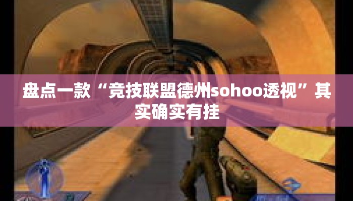 盘点一款“竞技联盟德州sohoo透视”其实确实有挂