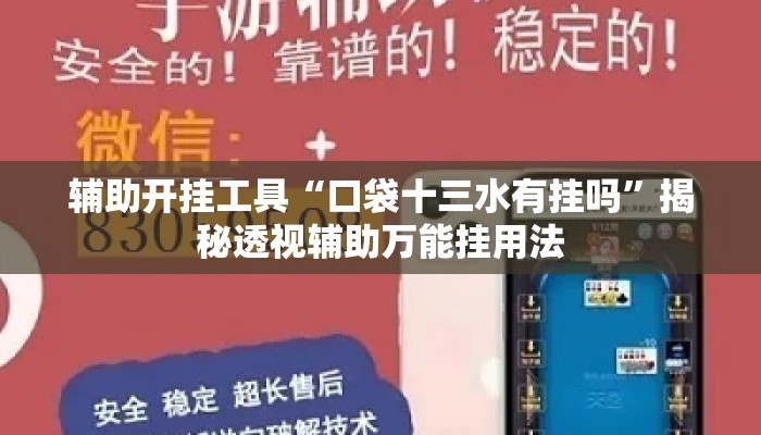 辅助开挂工具“口袋十三水有挂吗”揭秘透视辅助万能挂用法