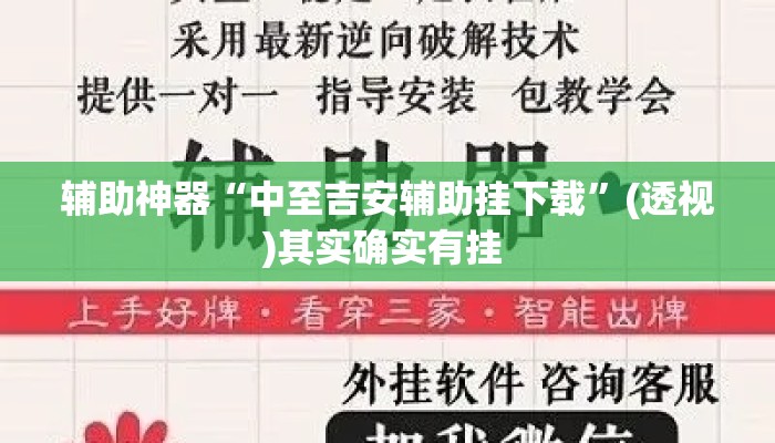 辅助神器“中至吉安辅助挂下载	”(透视)其实确实有挂 