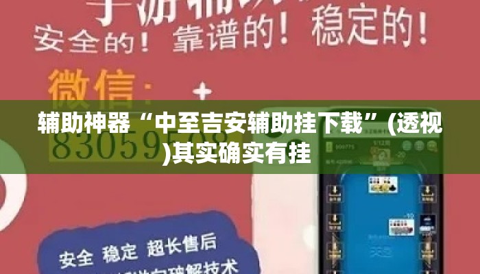 辅助神器“中至吉安辅助挂下载”(透视)其实确实有挂 