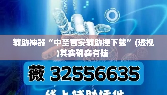 辅助神器“中至吉安辅助挂下载”(透视)其实确实有挂 