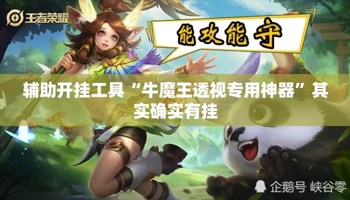辅助开挂工具“牛魔王透视专用神器”其实确实有挂