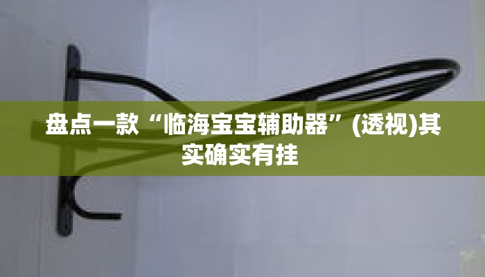 盘点一款“临海宝宝辅助器”(透视)其实确实有挂 