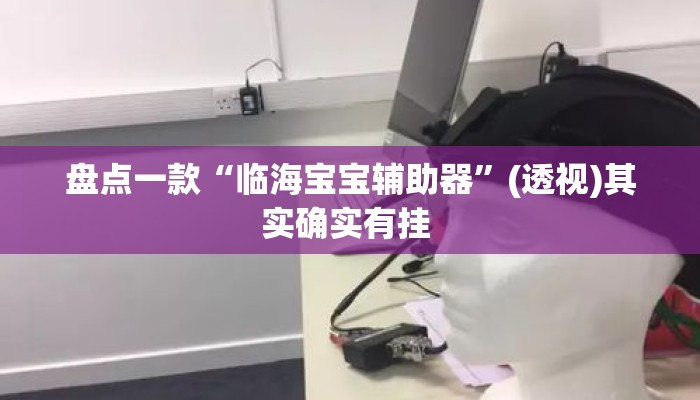 盘点一款“临海宝宝辅助器”(透视)其实确实有挂 