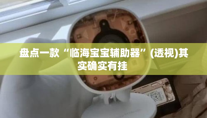 盘点一款“临海宝宝辅助器”(透视)其实确实有挂 