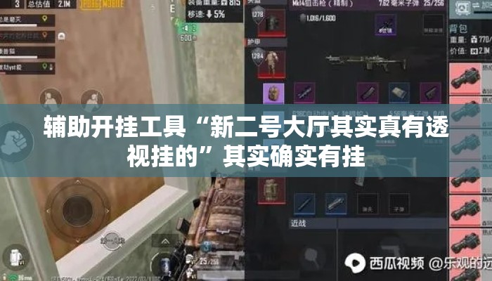 辅助开挂工具“新二号大厅其实真有透视挂的	”其实确实有挂
