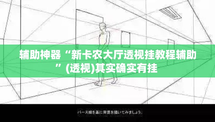 辅助神器“新卡农大厅透视挂教程辅助”(透视)其实确实有挂 
