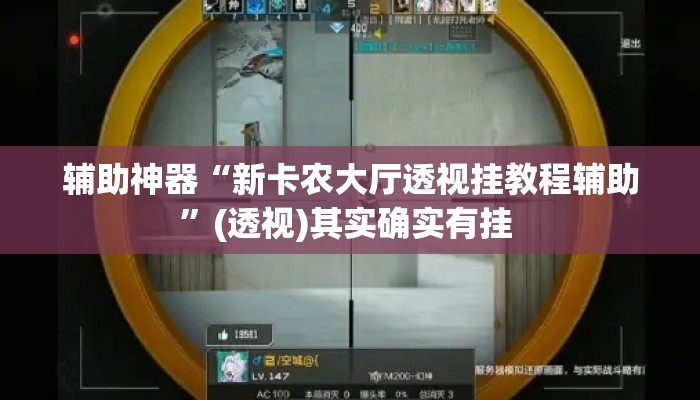 辅助神器“新卡农大厅透视挂教程辅助”(透视)其实确实有挂 