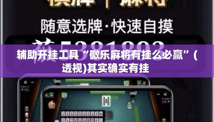 辅助开挂工具“微乐麻将有挂么必赢”(透视)其实确实有挂 