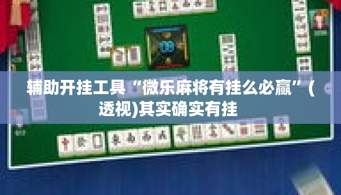 辅助开挂工具“微乐麻将有挂么必赢”(透视)其实确实有挂 