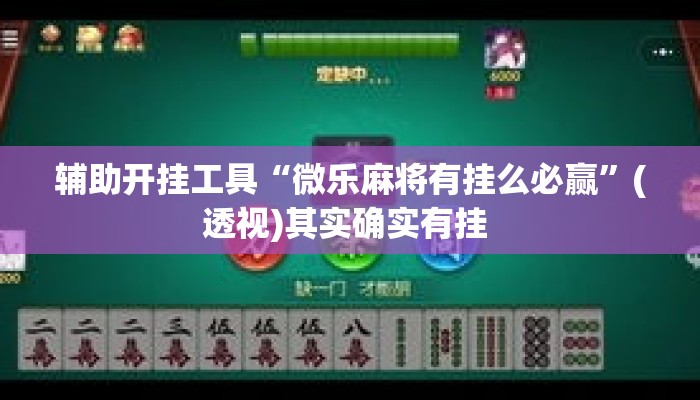 辅助开挂工具“微乐麻将有挂么必赢	”(透视)其实确实有挂 