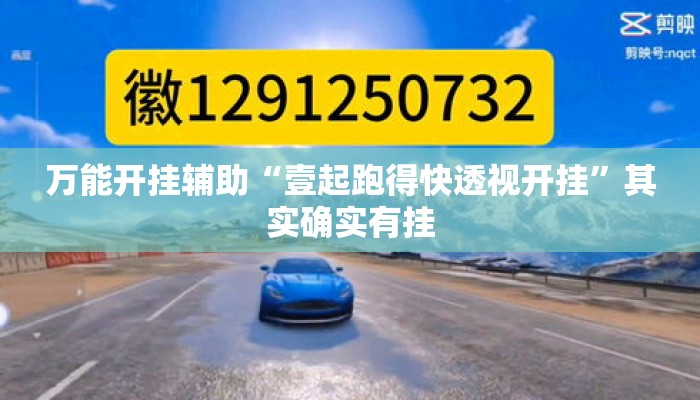 万能开挂辅助“壹起跑得快透视开挂	”其实确实有挂