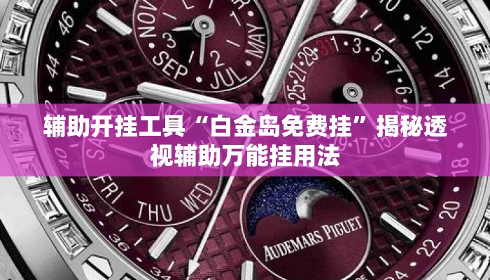 辅助开挂工具“白金岛免费挂	”揭秘透视辅助万能挂用法