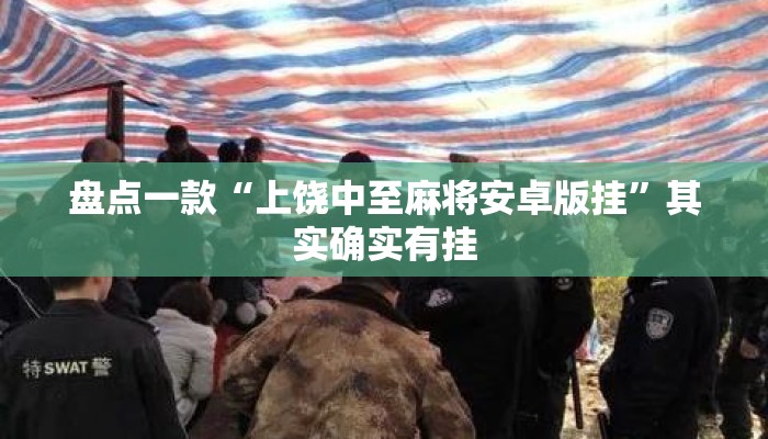 盘点一款“上饶中至麻将安卓版挂	”其实确实有挂