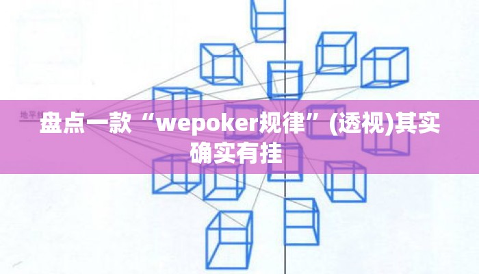盘点一款“wepoker规律	”(透视)其实确实有挂 