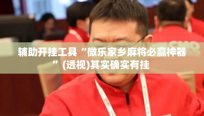 辅助开挂工具“微乐家乡麻将必赢神器	”(透视)其实确实有挂 