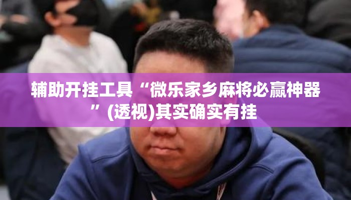 辅助开挂工具“微乐家乡麻将必赢神器”(透视)其实确实有挂 