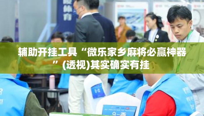 辅助开挂工具“微乐家乡麻将必赢神器”(透视)其实确实有挂 