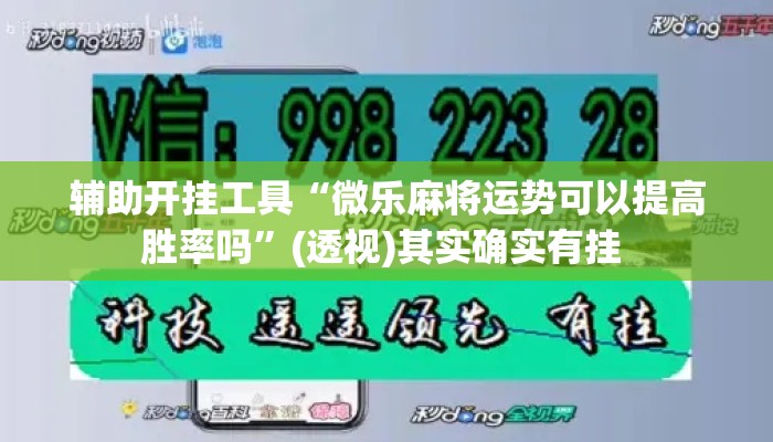 辅助开挂工具“微乐麻将运势可以提高胜率吗	”(透视)其实确实有挂 