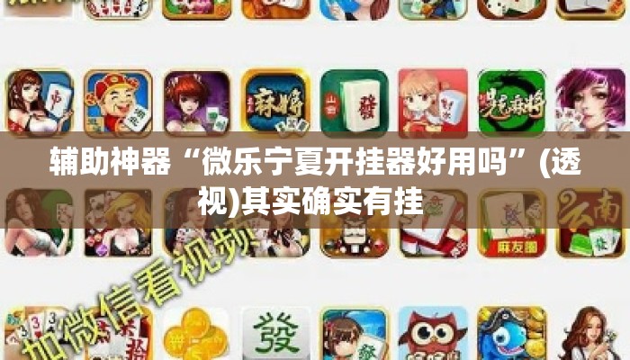 辅助神器“微乐宁夏开挂器好用吗”(透视)其实确实有挂 
