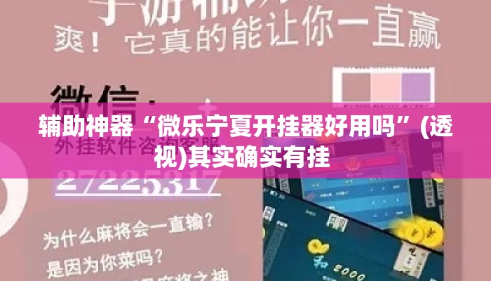 辅助神器“微乐宁夏开挂器好用吗	”(透视)其实确实有挂 