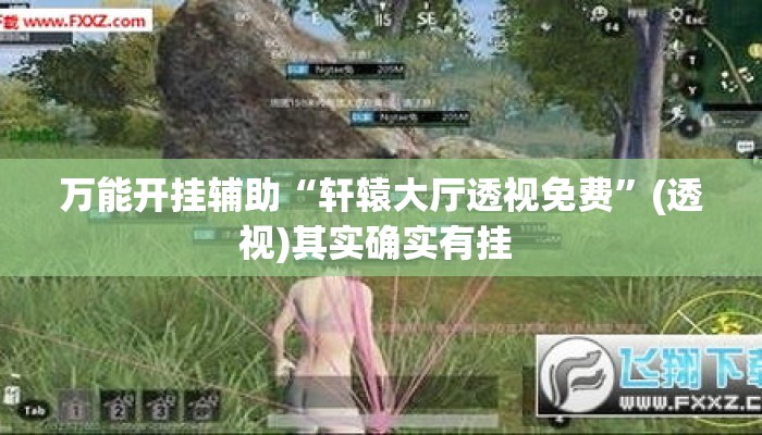 万能开挂辅助“轩辕大厅透视免费”(透视)其实确实有挂 