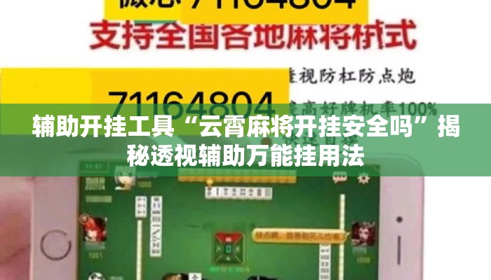 辅助开挂工具“云霄麻将开挂安全吗”揭秘透视辅助万能挂用法