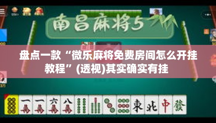 盘点一款“微乐麻将免费房间怎么开挂教程”(透视)其实确实有挂 