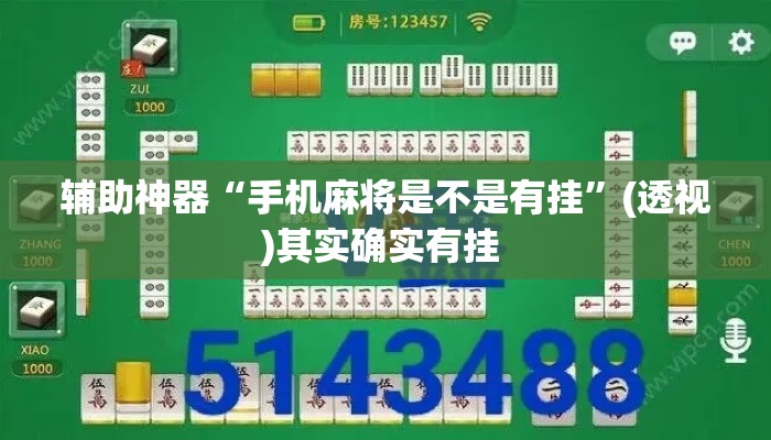 辅助神器“手机麻将是不是有挂”(透视)其实确实有挂 
