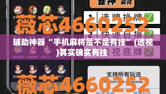 辅助神器“手机麻将是不是有挂”(透视)其实确实有挂 