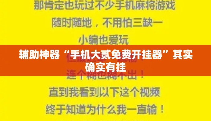 辅助神器“手机大贰免费开挂器”其实确实有挂